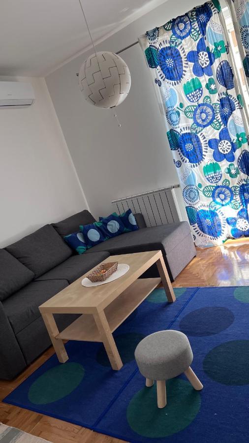 Delight: Cozy *
